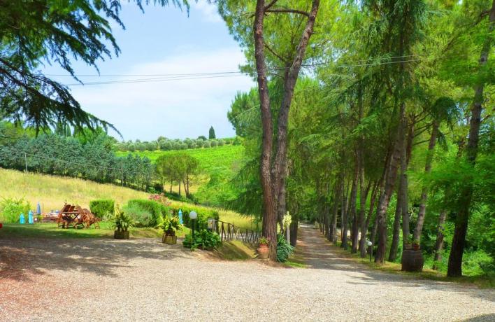 Viale d'accesso all'Agriturismo