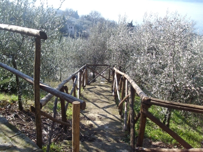 B&B L'Eremo vicino alle città d'arte dell'Umbria