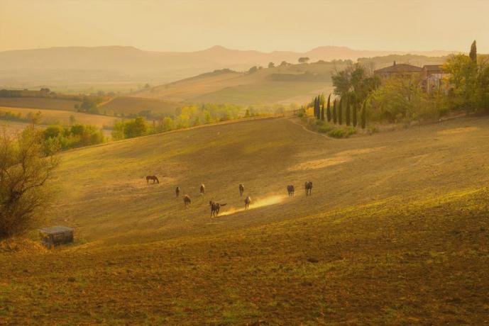 Villa vacanze vicino val d'orcia con piscina 