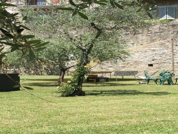 Giardino esterno con Alberi, Siepi e cespugli 