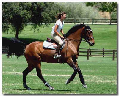 Campi equitazione in Umbria
