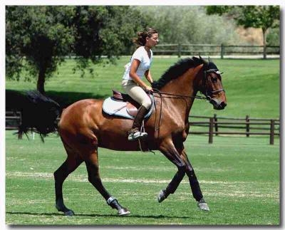 Campi equitazione in Umbria 