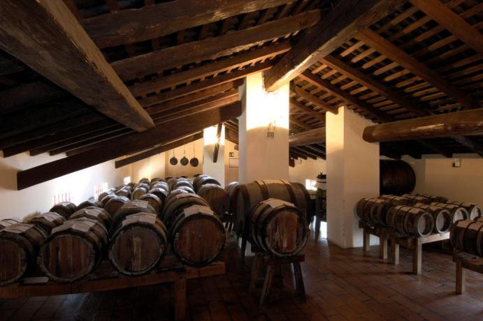 visita acetaia con degustazione aceto balsamico