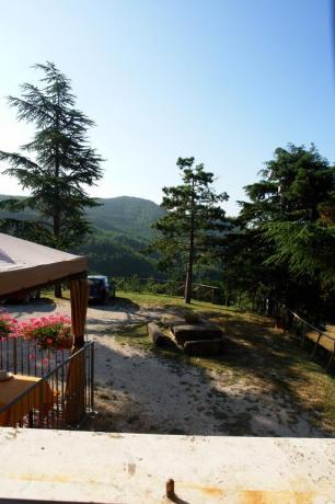 Paesaggio circostante, panchine all'ombra