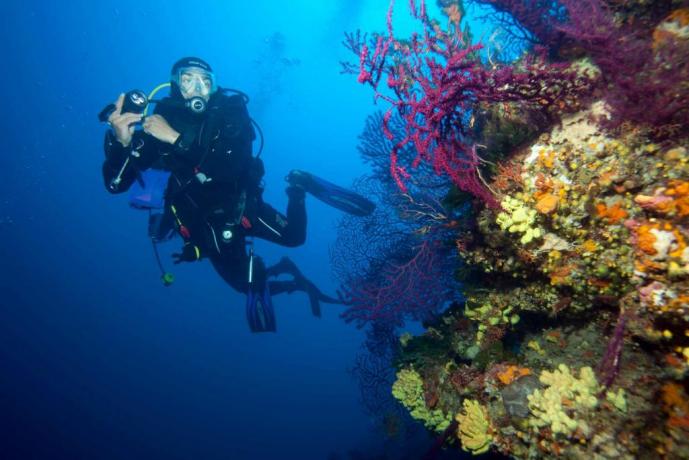 Escursioni subacqua disponibile nel hotel vicino Cosenza 