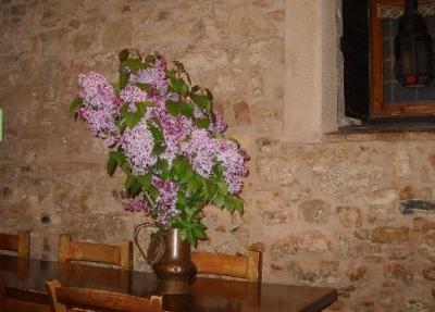 Angolo del ristorante in Valnerina