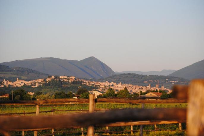 Agriturismo vista panoramica su Assisi 