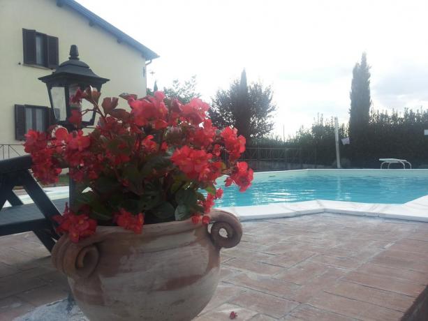 Casale privato Agrituristico con piscina, a Montefalco Umbria centrale, completamente recintato, 3 appartamenti per max 12 persone.