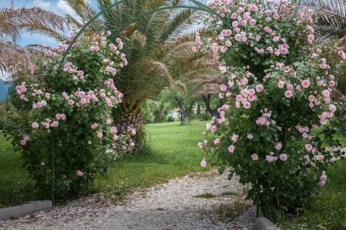 30.000 mq di terreno adibito a spazio verde 