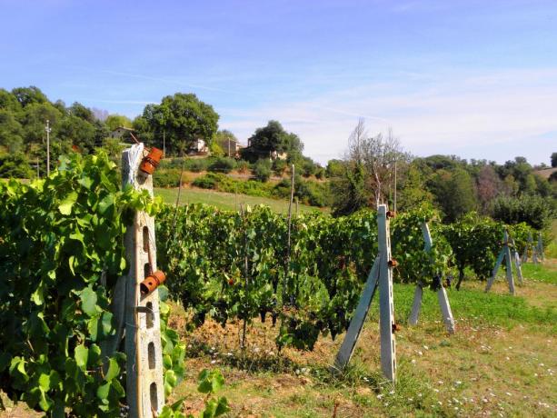 Agriturismo con Tenuta agricola e prodotti tipici Umbria 