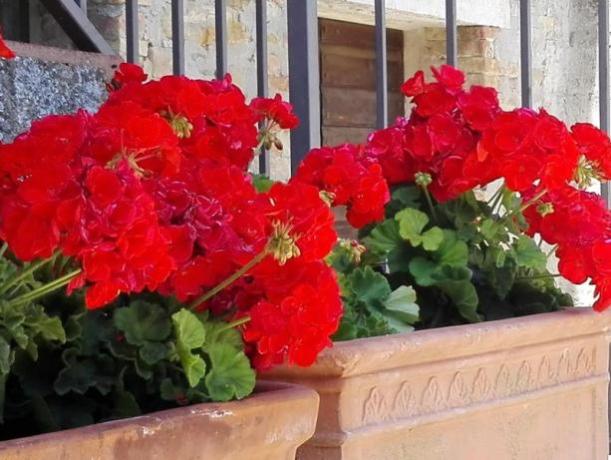 Decorazioni floreali in Agriturismo  