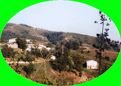 Agriturismo Le dieci Querce