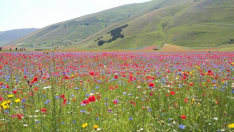 Natura Intorno al Residence di Spello