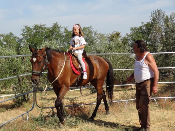 Fattoria didattica bambini agriturismo Città della Pieve 