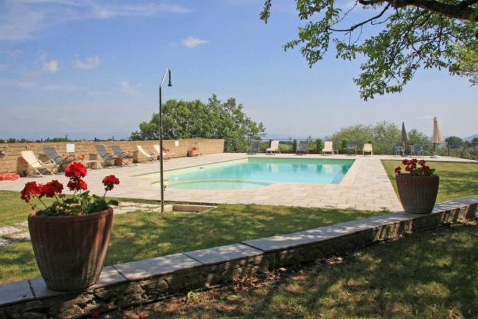 Piscina e solarium a disposizione dei clienti