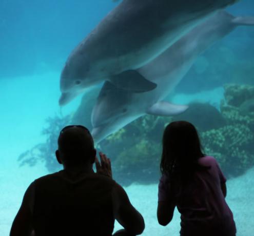 escursione acquario liguria visino hotel Varazze mare