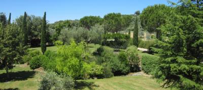 Grande giardino molto curato