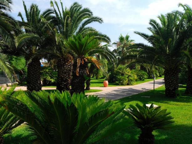 Villaggio in Puglia 4 stelle: area-verde total relax 