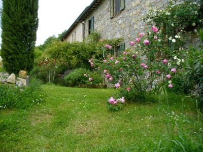 Bellissimo giardino del bb 