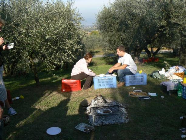 Momento Conviviale durante raccolta delle Olive