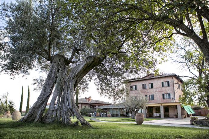 Hotel a Pozzuolo, con piscina giardino vista lago 