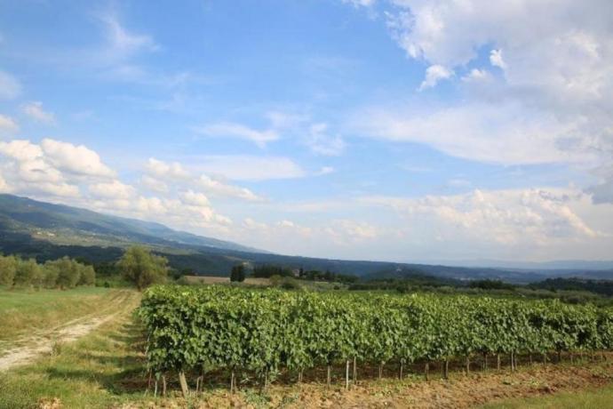 La campagna che circonda la nostra villa