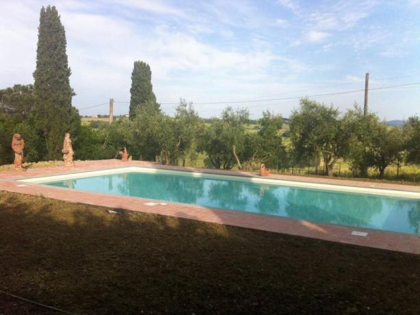 La meravigliosa piscina circondata da ulivi  