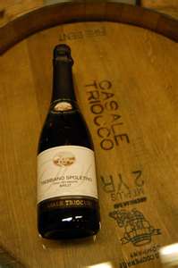 Dove dormire vicino Spoleto Vini nel Mondo