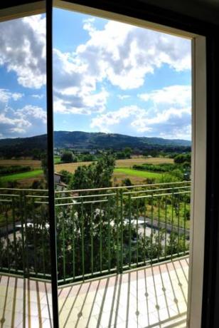 Camere familiari con Balcone, Animali Ammessi