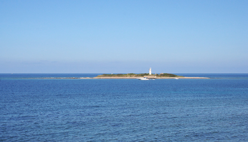 Escursioni sulle spiagge del Cilento