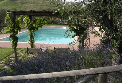 Agriturismo Piscina tra Umbria e Toscana 