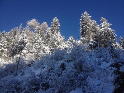 Il paesaggio innevato