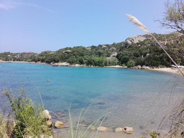 Mare cristallino della Sardegna ad Arzachena