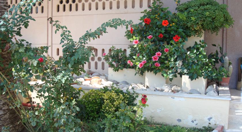 Piante e fiori nel giardino