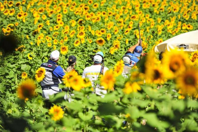 AGRICOLA-PALERMI-caccia-quaglie-umbria