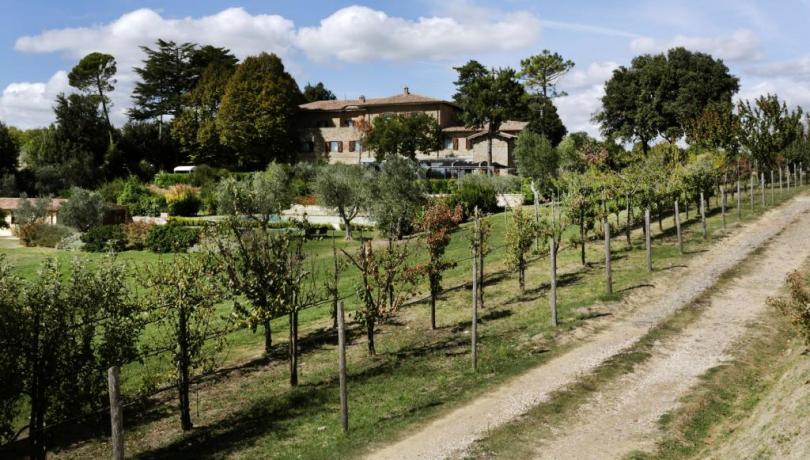 Tenuta Deluxe con cantina vicino Orvieto, Umbria