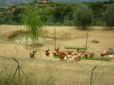 Agriturismo a Città della Pieve con fattoria 