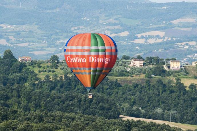 Dalla Cantina Dionigi a 2 passi dal cielo 