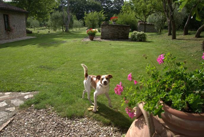 Agriturismo con animali ideale per bambini 