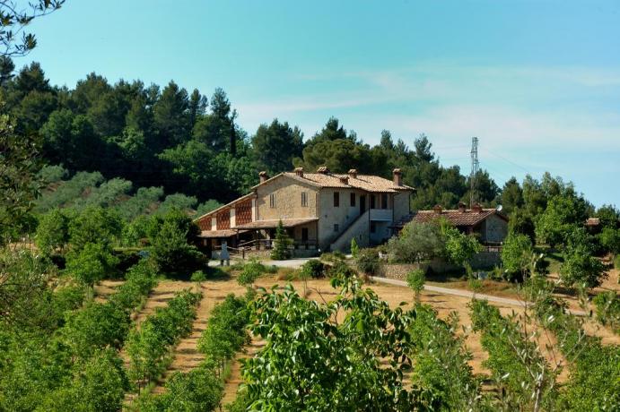 casale tra gli ulivi	 