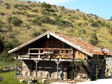 Progettazione e vendita legno antico