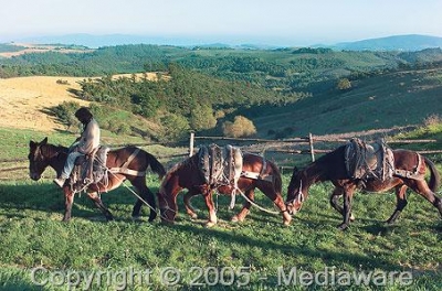 Passeggiate a cavallo