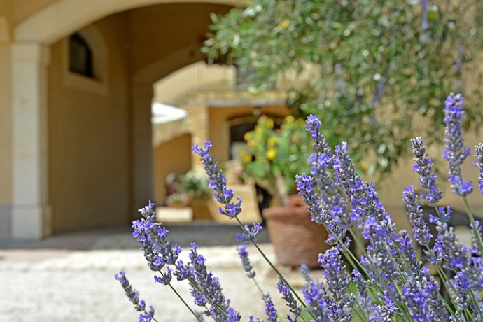 Esterno Agriturismo Rustico