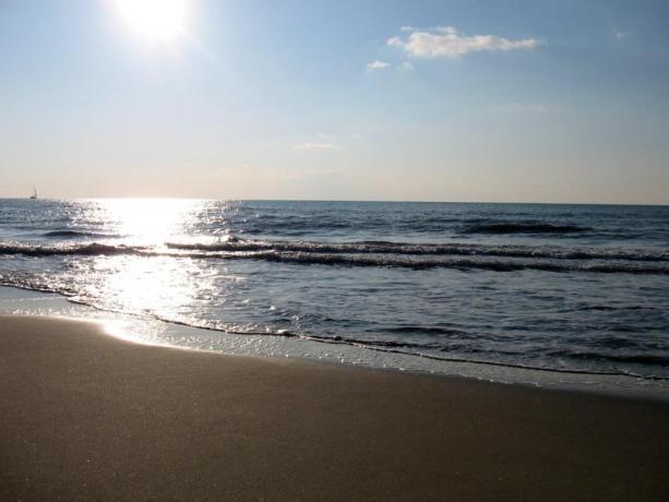 Resort a Camaiore vicino spiagge della Versilia