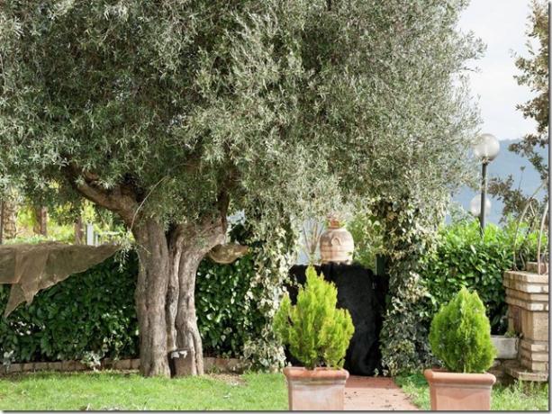 Casale Agrituristico casa-vacanze con giardino Magione-Lago-Trasimeno 