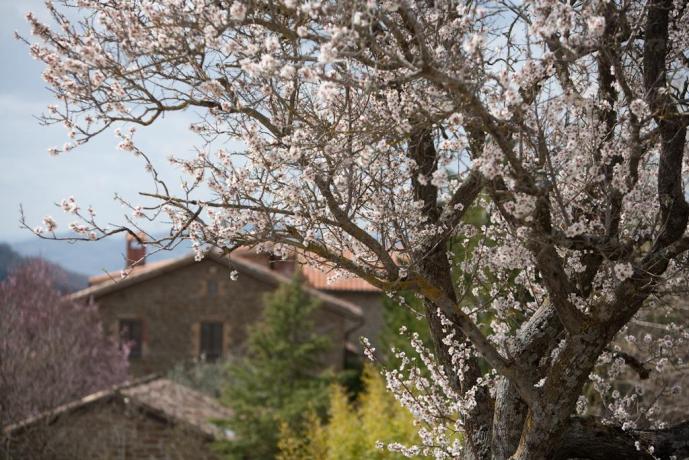 Agriturismo biologico a pochi km da Gubbio 