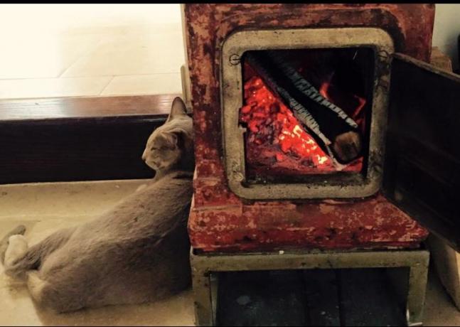 B&B con animali ammessi vicino Alberobello