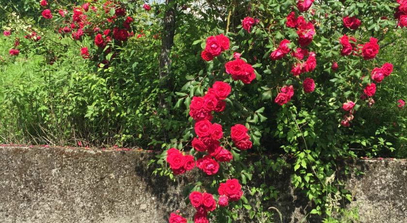 Giardino fiorito