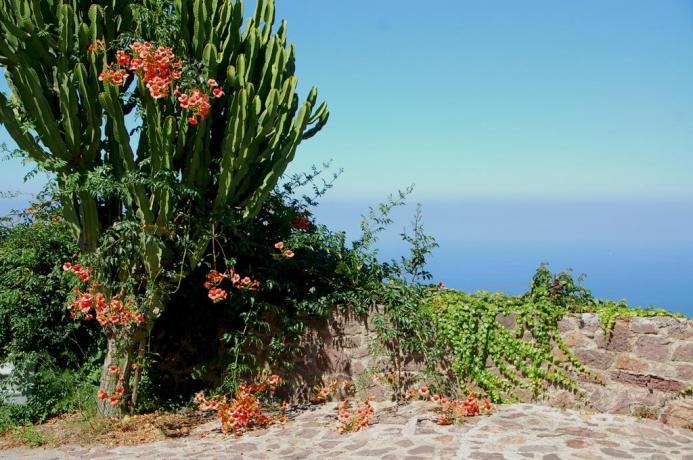 B&B possibilità escursioni Capo D'orlando o Milazzo