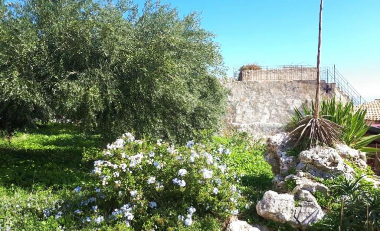 Area verde con piante da frutto